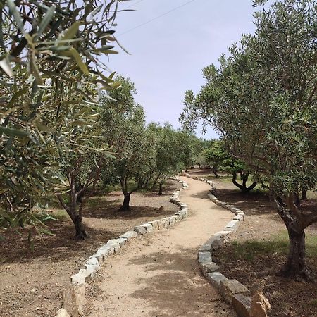Stazzu Barecca B&B Cugnana Verde Buitenkant foto