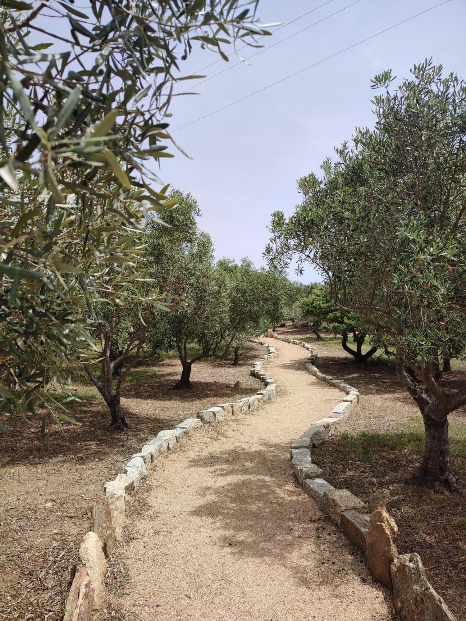 Stazzu Barecca B&B Cugnana Verde Buitenkant foto